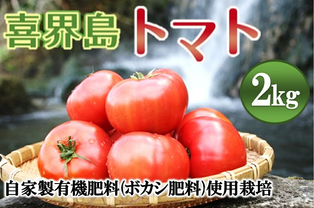【2025年12月から発送】『喜界島トマト』自家製有機肥料(ボカシ肥料)使用栽培　2kg【日付指定不可】