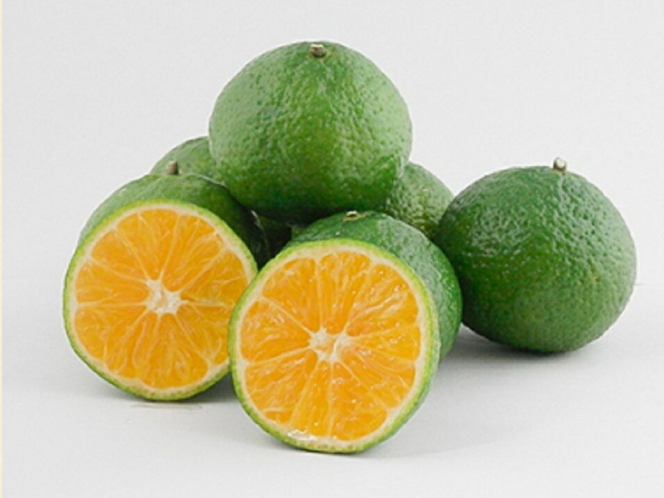 【ふるさと納税】【数量限定】花良治みかん(2kg)　農家直送【2025年10月から発送】 サムネイル3