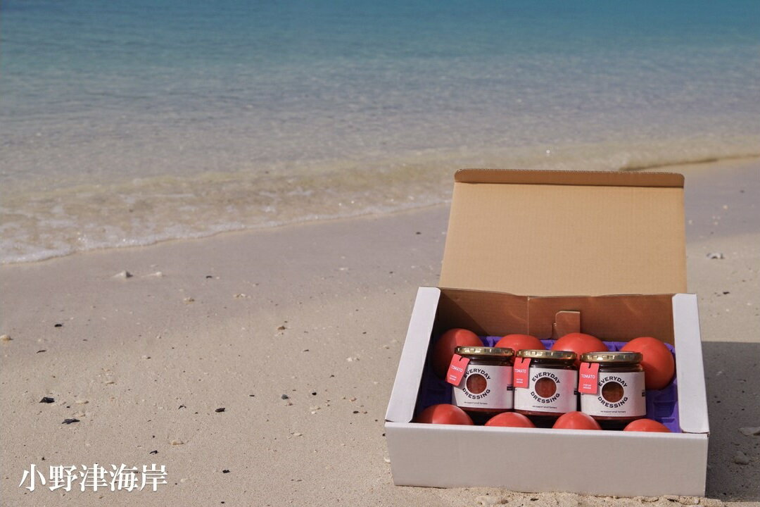 【ふるさと納税】【先行受付】若松農園喜界島トマト(8個)＆ドレッシング(3本)【2026年1月以降発送】 - 画像2