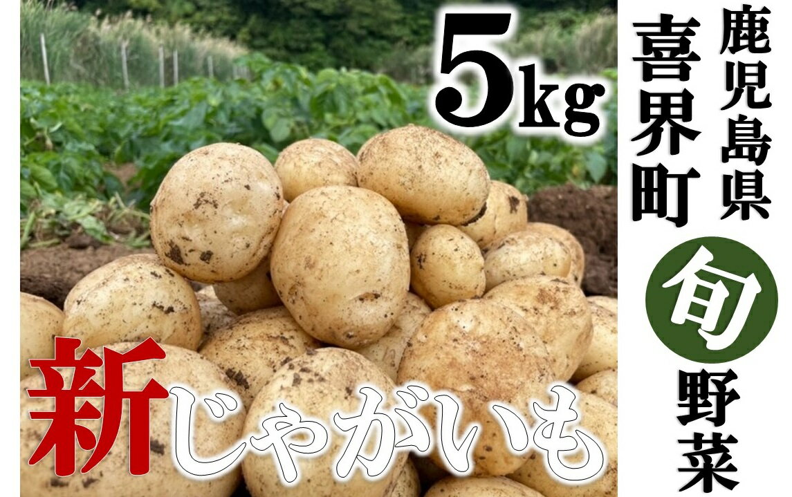 先行受付『2026年3月発送』"サンゴの恵み" 新じゃがいも 5kg【大小混合】【日付指定不可】