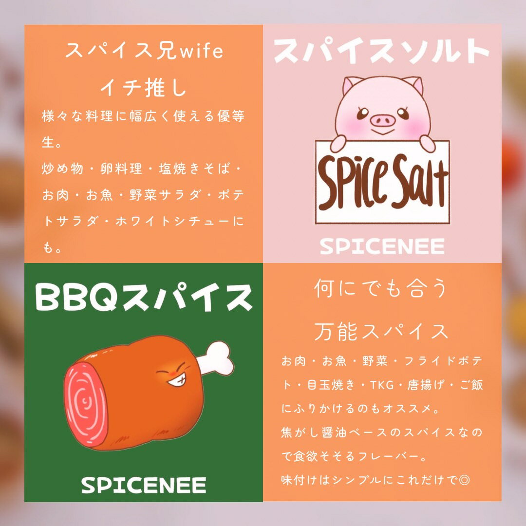 【ふるさと納税】南の島スパイス5種×2セット【12月以降発送】 サムネイル3
