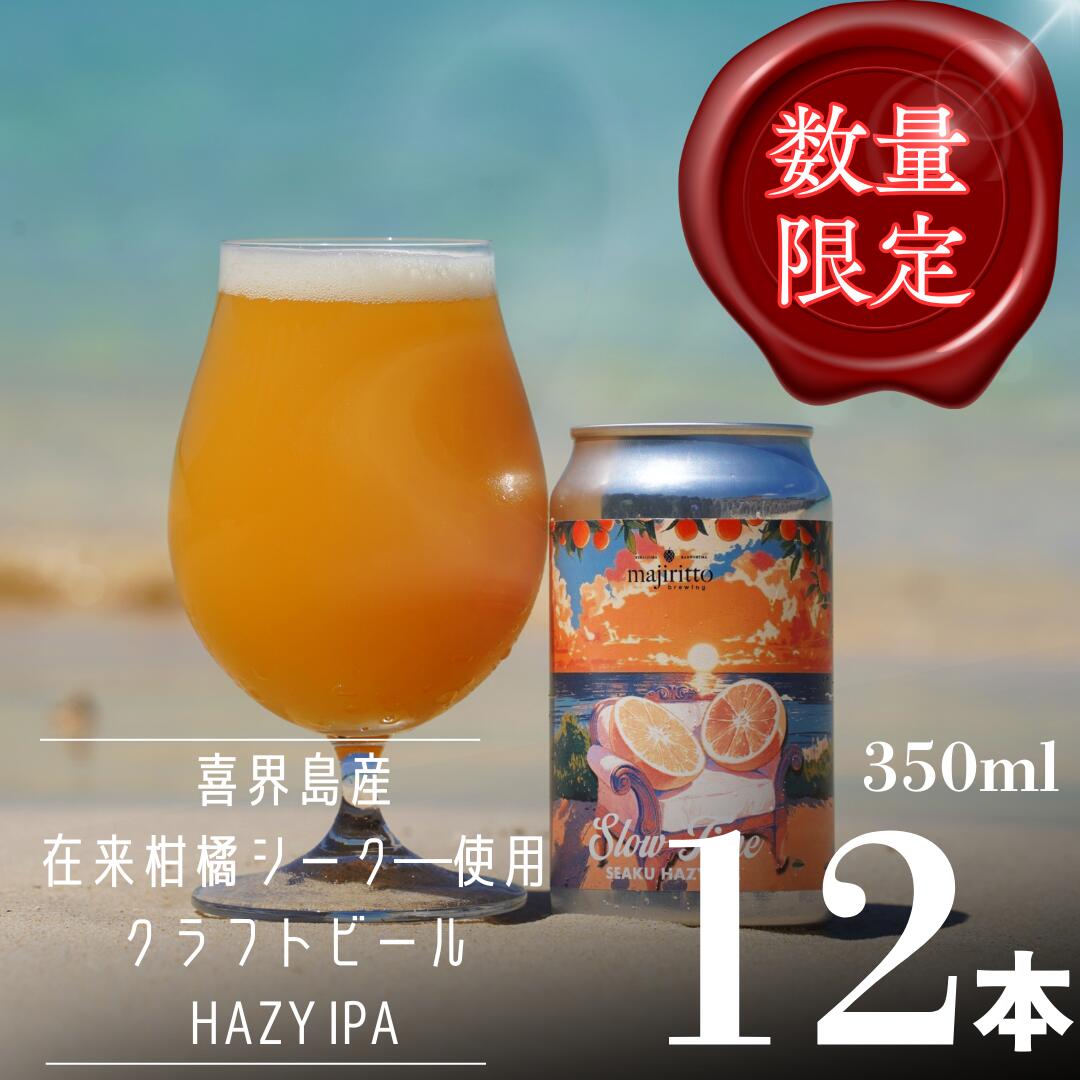 クラフトビールSlow Time 12本　5.5%　350ml