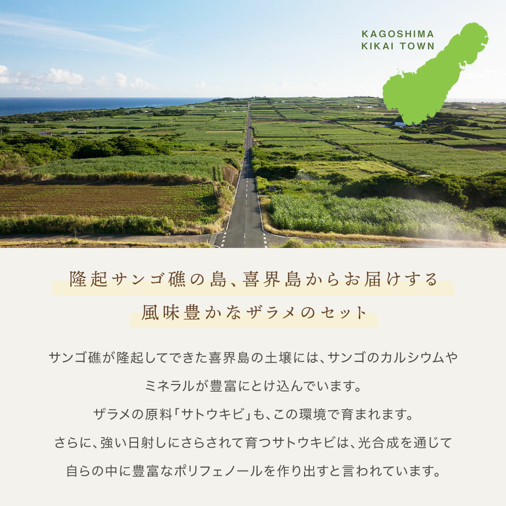 【ふるさと納税】島ザラメ(粗糖・きび砂糖)200g×12袋【喜界島産】 サムネイル2