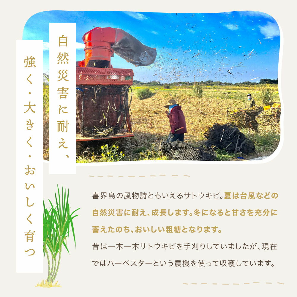 【ふるさと納税】島ザラメ(粗糖・きび砂糖)200g×12袋【喜界島産】 サムネイル3