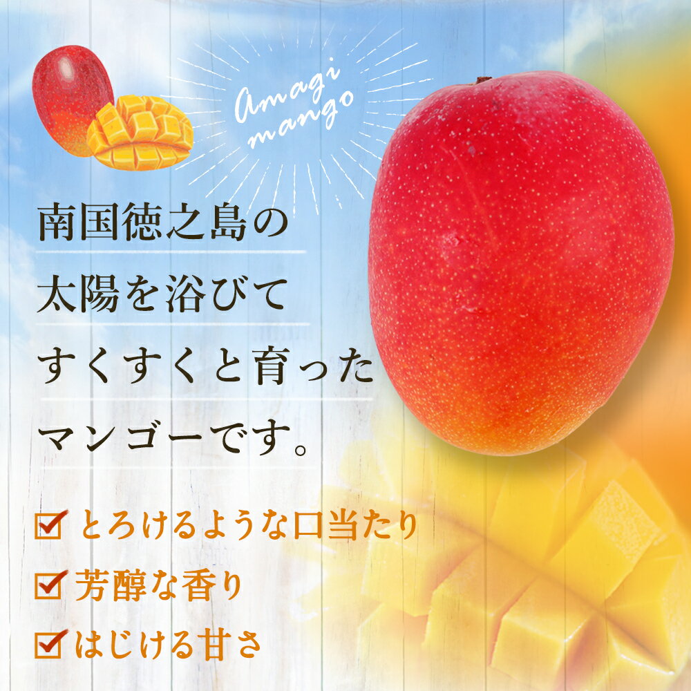 【ふるさと納税】【2026年発送】【先行受付】徳之島 天城町産 完全無加温 完熟 マンゴー 家庭用 1kg 国産 送料無料 フルーツ トロピカル P-30-N サムネイル3