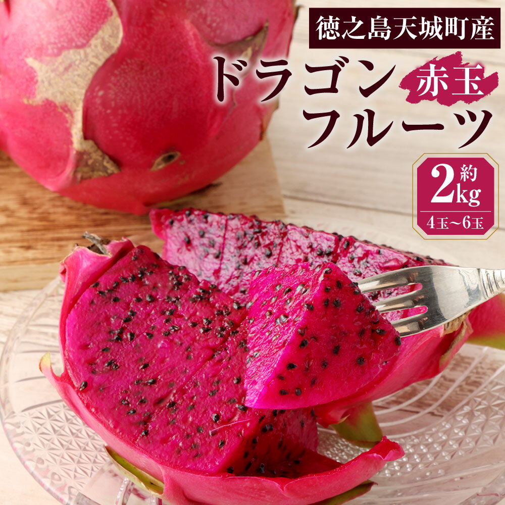 【2026年発送】徳之島 天城町産 ドラゴンフルーツ 赤玉 約2kg 4～6玉 ご家庭用 ピタヤ 南国 フルーツ トロピカルフルーツ 果物 美容 健康 鹿児島県 送料無料 AJ-4-N