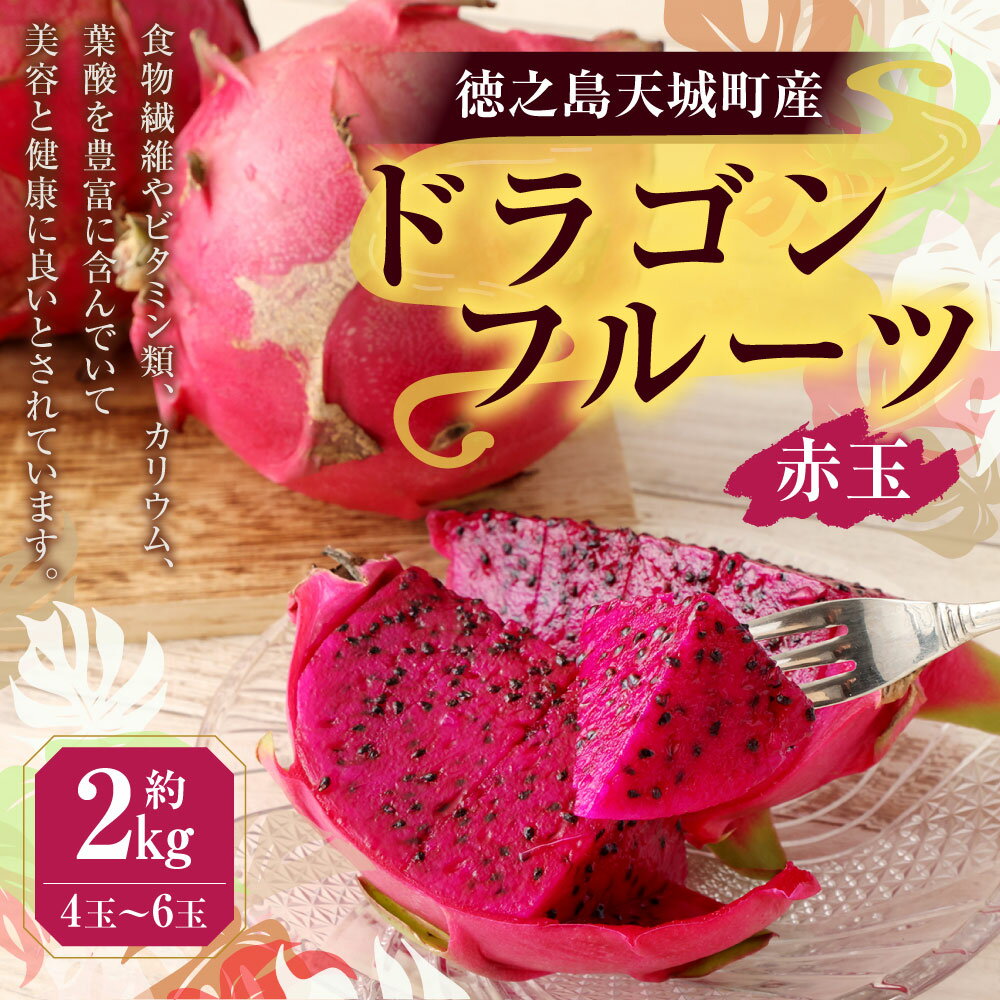 【ふるさと納税】【2026年発送】徳之島 天城町産 ドラゴンフルーツ 赤玉 約2kg 4～6玉 ご家庭用 ピタヤ 南国 フルーツ トロピカルフルーツ 果物 美容 健康 鹿児島県 送料無料 AJ-4-N サムネイル2