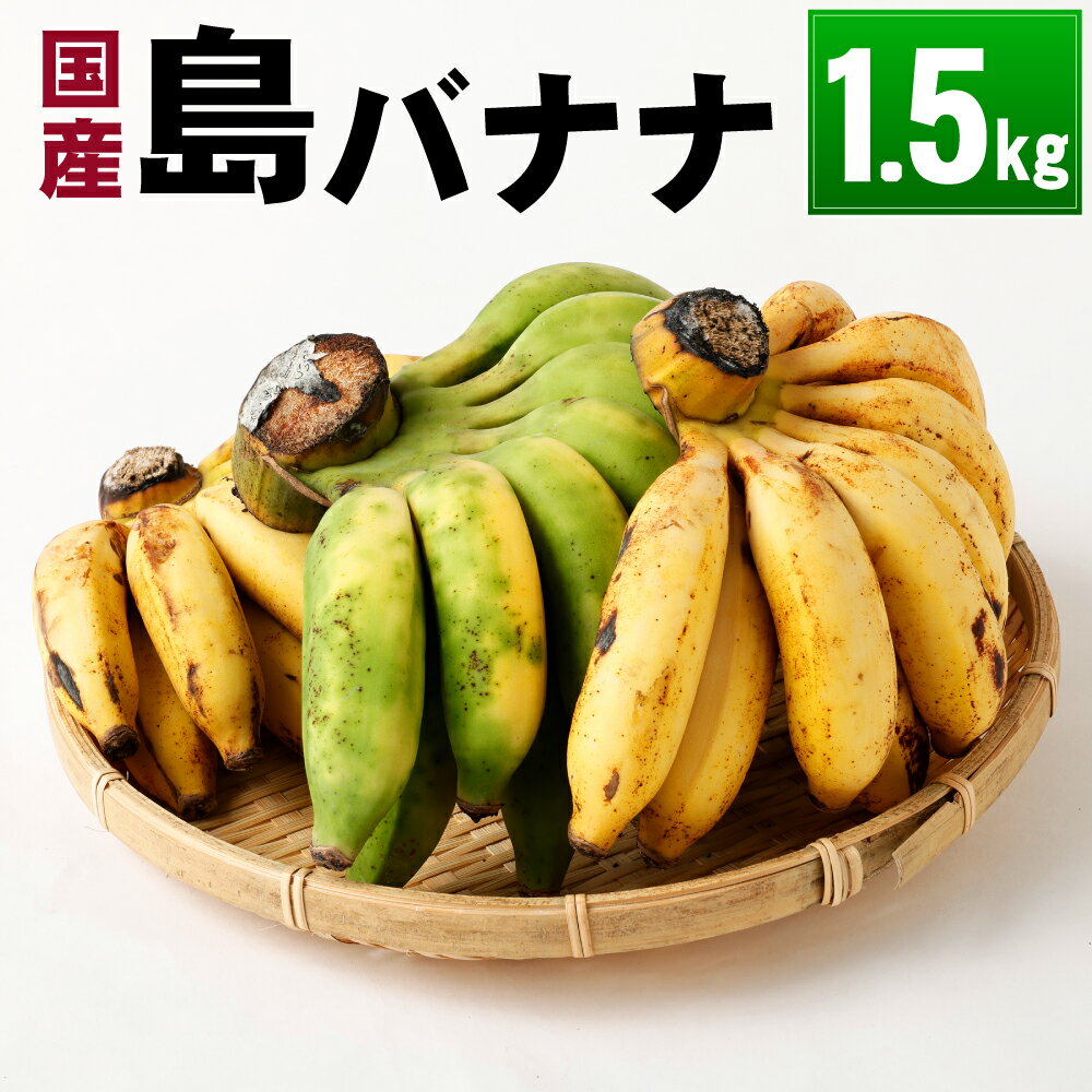 【2025年発送】徳之島 子宝バナナ 1.5kg 島バナナ バナナ フルーツ 果物 南国フルーツ くだもの 国産 鹿児島県 送料無料 AL-6-N