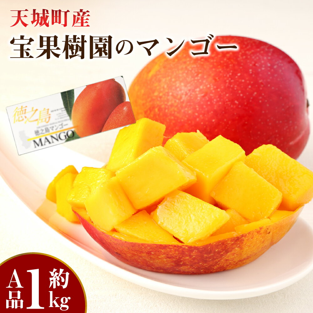 【2026年発送】【先行受付】宝果樹園 マンゴー A品 約1kg 2～3玉 贈答用 マンゴー 果物 くだもの フルーツ ギフト 冷蔵 国産 徳之島 天城町産 送料無料 AT-19-N