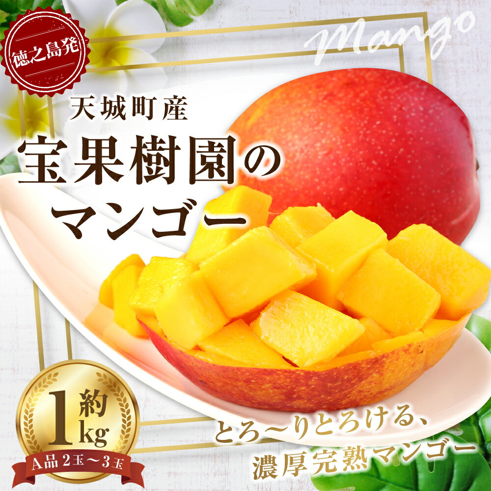 【ふるさと納税】【2026年発送】【先行受付】宝果樹園 マンゴー A品 約1kg 2～3玉 贈答用 マンゴー 果物 くだもの フルーツ ギフト 冷蔵 国産 徳之島 天城町産 送料無料 AT-19-N サムネイル2