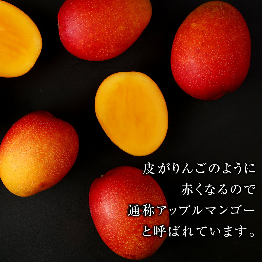 【ふるさと納税】【2026年発送】【先行受付】宝果樹園 マンゴー A品 約1kg 2～3玉 贈答用 マンゴー 果物 くだもの フルーツ ギフト 冷蔵 国産 徳之島 天城町産 送料無料 AT-19-N サムネイル3