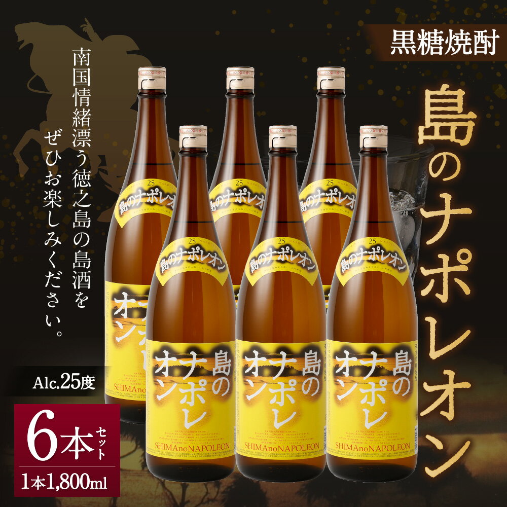 【ふるさと納税】黒糖焼酎 島のナポレオン 1,800ml×6本セット 合計10.8L 瓶 お酒 酒 焼酎 アルコール 奄美黒糖焼酎 国産 徳之島産 鹿児島 送料無料 サムネイル2