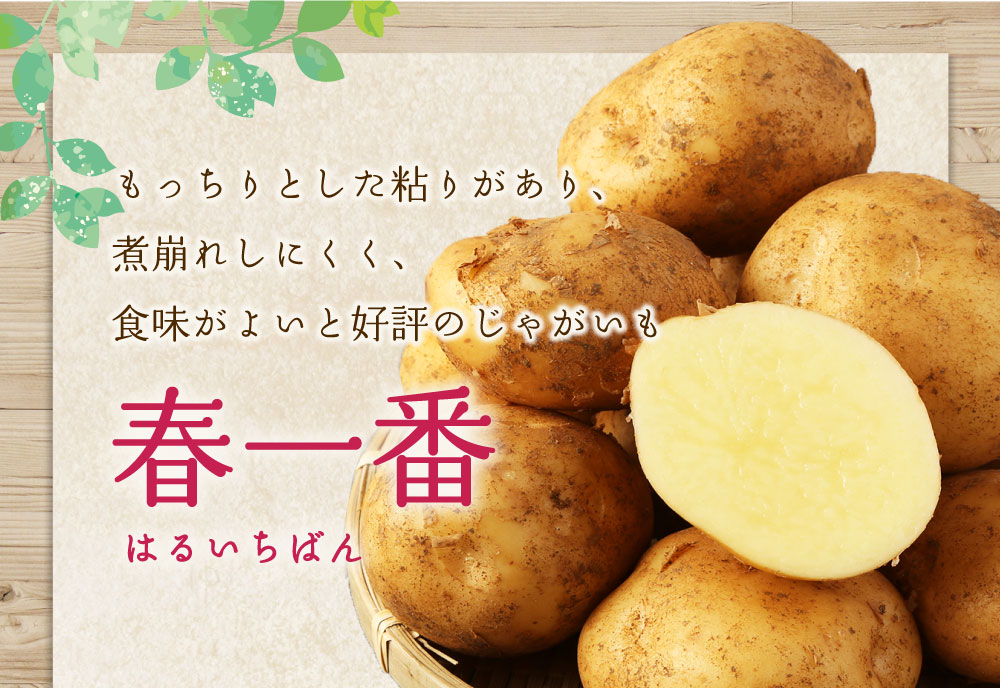 【ふるさと納税】【先行受付】徳之島 天城町産 赤土ばれいしょ 新じゃが【春一番】5kg L～2L 混合サイズ ジャガイモ じゃがいも ばれいしょ バレイショ お手軽 送料無料 国産 野菜 九州産 鹿児島県産 新じゃが 春 F-4-N サムネイル3