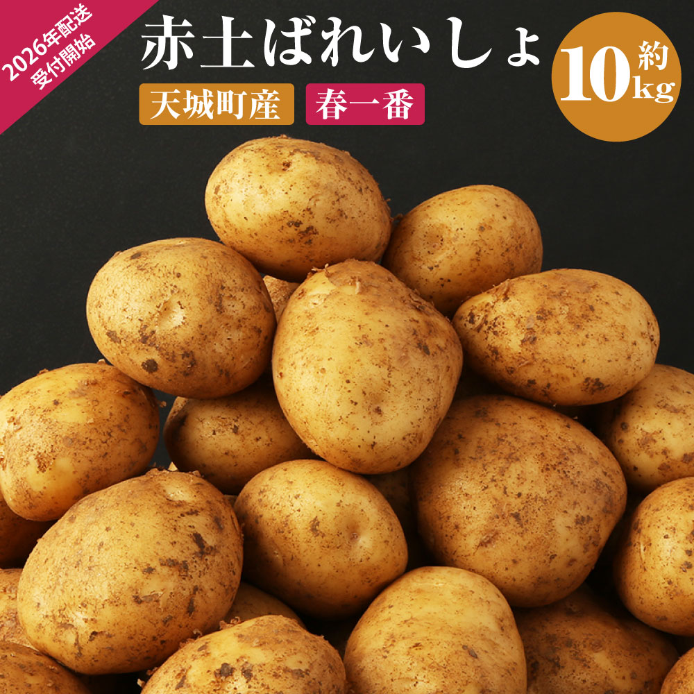【受付再開】徳之島 天城町産 赤土ばれいしょ 新じゃが【春一番】10kg L~2L 混合サイズ ジャガイモ じゃがいも ばれいしょ バレイショ お手軽 送料無料 国産 野菜 九州産 鹿児島県産 新じゃが 春 F-5-N