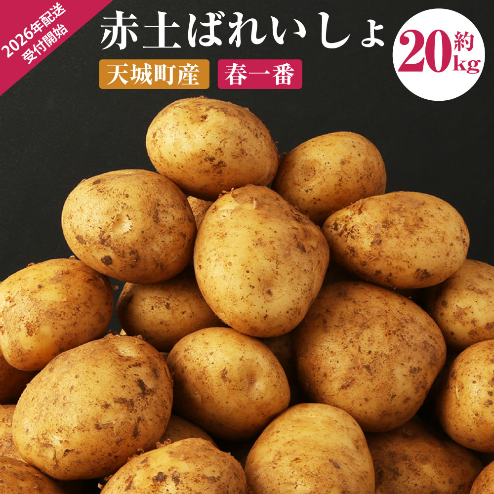 【受付再開】徳之島 天城町産 赤土ばれいしょ 新じゃが【春一番】20kg L~2L 混合サイズ ジャガイモ じゃがいも ばれいしょ バレイショ お手軽 送料無料 国産 野菜 九州産 鹿児島県産 新じゃが 春 F-6-N