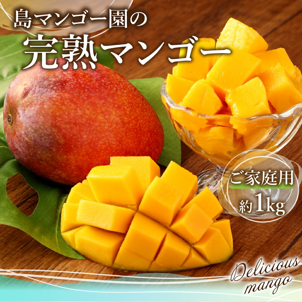 【ふるさと納税】【2026年発送】【先行受付】 徳之島 天城町【ご家庭用】 天城町産 島マンゴー園 完熟マンゴー 約1kg 2～3玉 マンゴー 果物 くだもの フルーツ 家庭用 冷蔵 天城町産 国産 送料無料 BA-3-N サムネイル2