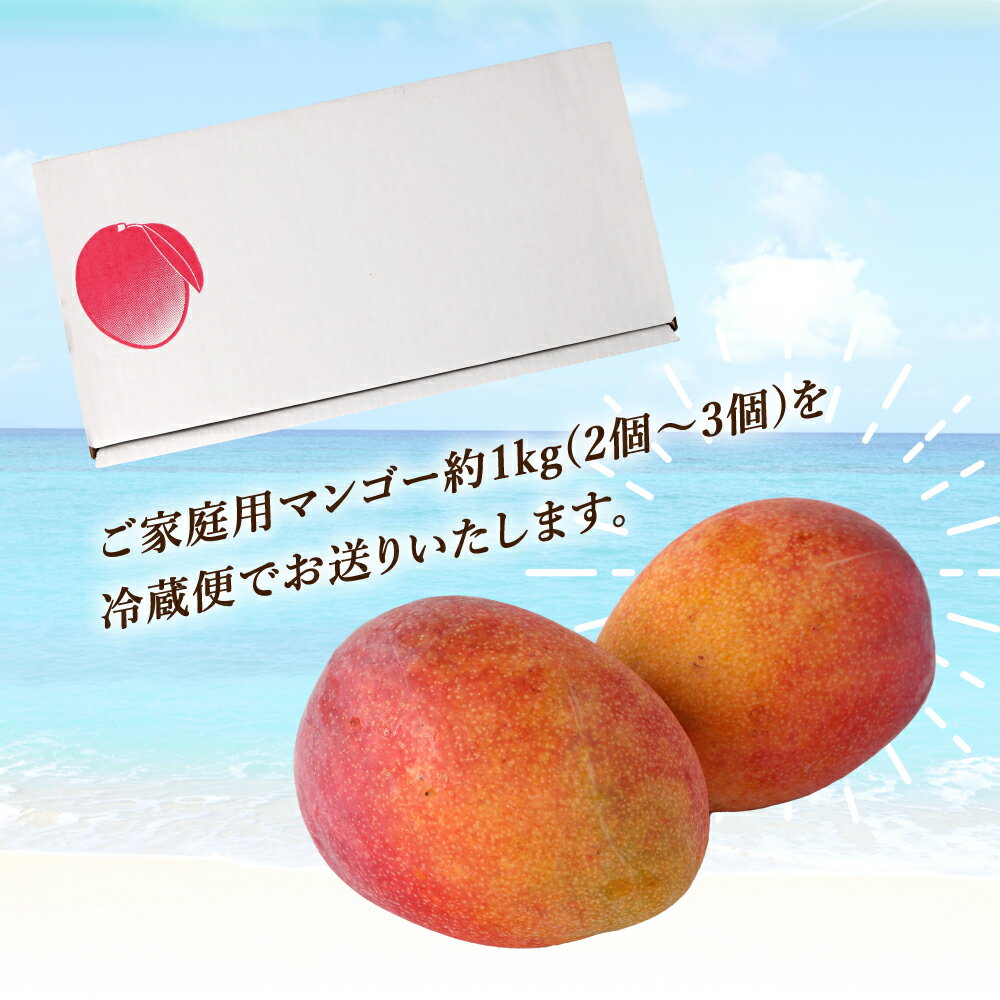 【ふるさと納税】【2026年発送】【先行受付】 徳之島 天城町【ご家庭用】 天城町産 島マンゴー園 完熟マンゴー 約1kg 2～3玉 マンゴー 果物 くだもの フルーツ 家庭用 冷蔵 天城町産 国産 送料無料 BA-3-N サムネイル3
