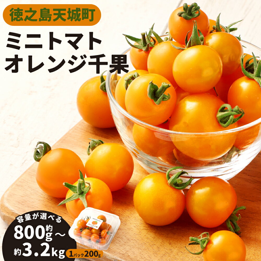 徳之島 天城町産 ミニトマト 200g ＜パック数が選べる＞ 4パック 合計800g 8パック 合計1.6kg 16パック 合計3.2kg オレンジ千果 トマト とまと 野菜 国産 九州 鹿児島県 送料無料