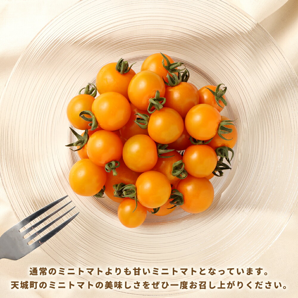 【ふるさと納税】徳之島 天城町産 ミニトマト 200g ＜パック数が選べる＞ 4パック 合計800g 8パック 合計1.6kg 16パック 合計3.2kg オレンジ千果 トマト とまと 野菜 国産 九州 鹿児島県 送料無料 - 画像3