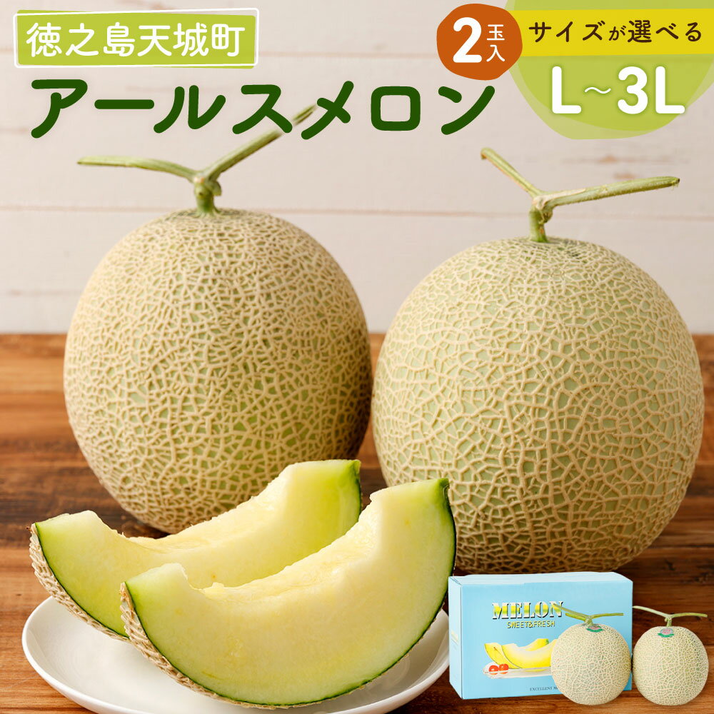 徳之島 天城町 アールスメロン 2玉 ＜サイズが選べる＞ L 2L 3L メロン マスクメロン 果物 フルーツ 化粧箱入り ギフト 贈答 贈り物 先行受付 吉川果樹園 送料無料