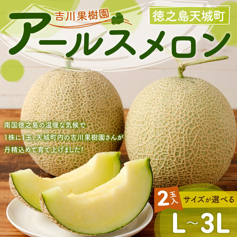 【ふるさと納税】徳之島 天城町 アールスメロン 2玉 ＜サイズが選べる＞ L 2L 3L メロン マスクメロン 果物 フルーツ 化粧箱入り ギフト 贈答 贈り物 先行受付 吉川果樹園 送料無料 サムネイル2