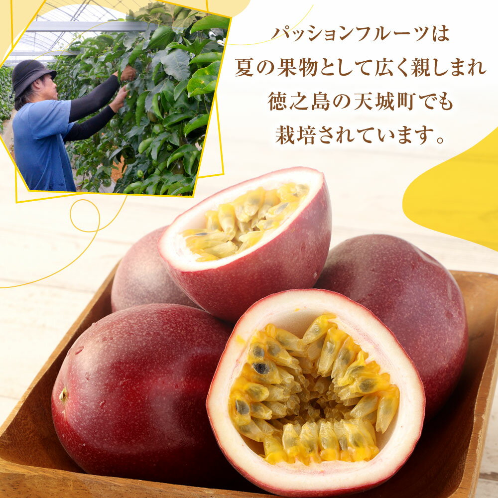 【ふるさと納税】【2026年発送】【先行受付】 徳之島 天城町 パッションフルーツ 家庭用 ＜選べる＞ 約1kg 約2kg 約3kg 約4kg 約6kg トロピカル フルーツ パッション 果物 自宅用 国産 九州 鹿児島 吉川果樹園 送料無料 サムネイル3