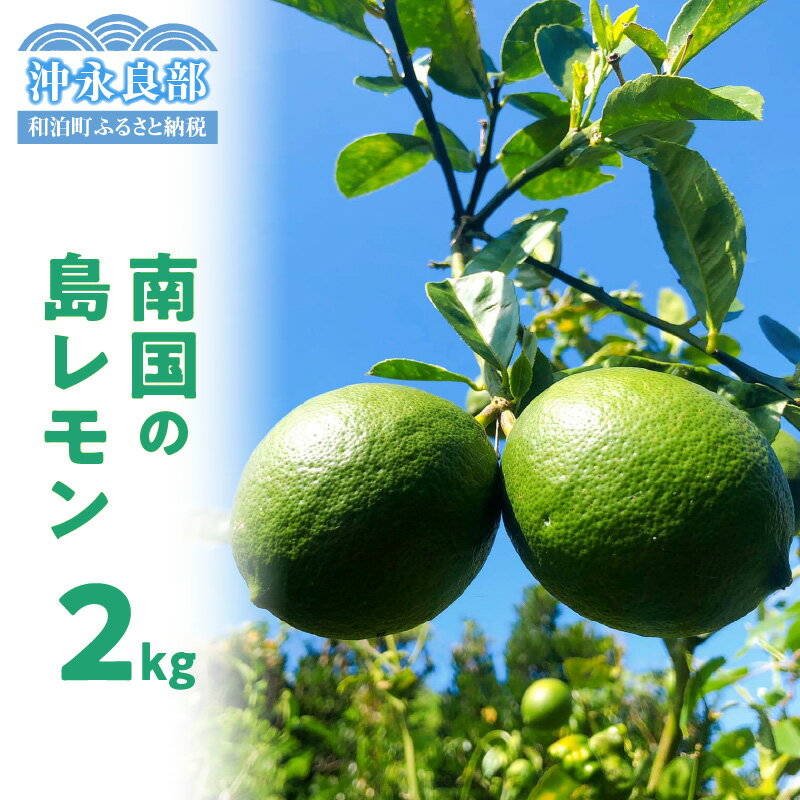 【先行受付】 南国の島レモン 2kg 【2025年9月～2026年2月下旬】 栽培期間中 農薬 除草剤 不使用 レモン 島レモン れもん 檸檬 フルーツ 果物 すっぱい おいしい 美味しい すっきり 国産 沖田農園 鹿児島 和泊町 おすすめ ランキング プレゼント ギフト