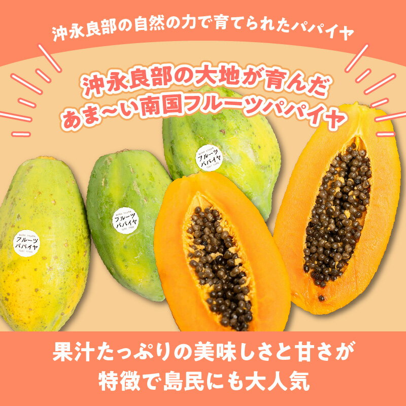【ふるさと納税】【先行受付】 パパイヤ 1kg 沖永良部島 フルーツパパイヤ 約 300g 以上 × 2玉 〜 3玉 糖度 約15度 甘くて美味しい フルーツ 果物 カット ヨーグルト トッピング スムージー 専用化粧箱 ギフト 鹿児島県 和泊町 お取り寄せ 送料無料 サムネイル2