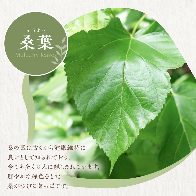 【ふるさと納税】【クリックポスト】 イヤリング 草木染 レース モチーフ 桑葉 コットンレース ビーズボール 桑の葉 手編み ガラスビーズ カジュアル フォーマル 軽い 着け心地 贈り物 鹿児島県 和泊町 送料無料 サムネイル3