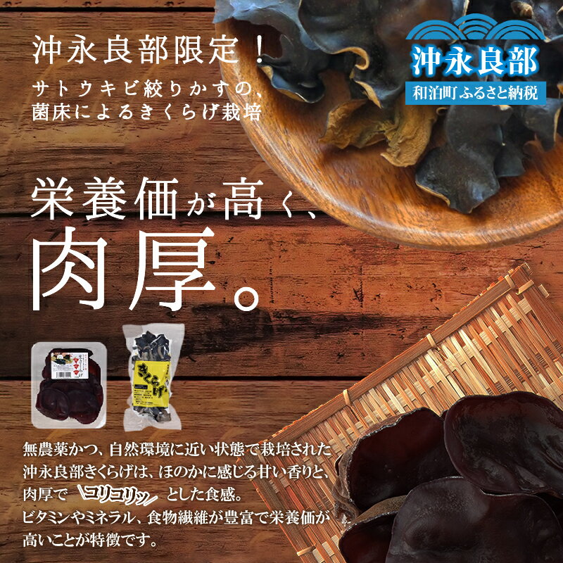 【ふるさと納税】 地の利を生かした 沖永良部産 恵のきくらげ Aセット 641g きくらげ 木耳 キクラゲ さとうきび さとうきび搾りかす バガス ミネラル 栄養満点 栄養価 肉厚 食物繊維 野菜 やさい キノコ きのこ 南国きのこ苑 和泊町 おすすめ ランキング プレゼント ギフト - 画像2