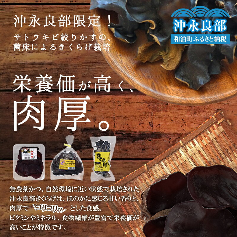 【ふるさと納税】 地の利を生かした 沖永良部産 恵のきくらげ Bセット 2735g きくらげ 木耳 キクラゲ さとうきび さとうきび搾りかす バガス ミネラル 栄養満点 栄養価 肉厚 食物繊維 野菜 やさい キノコ きのこ 南国きのこ苑 和泊町 おすすめ ランキング プレゼント ギフト - 画像2