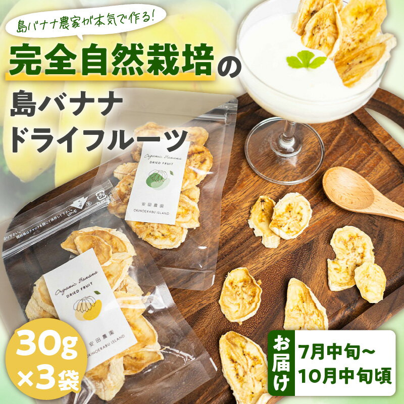 先行受付 バナナ ドライフルーツ 30g × 3袋 農家 完全自然栽培 島バナナ 手づくり 濃厚な甘み 芳醇な香り 砂糖 着色料 保存料 不使用 無添加 ヨーグルト アイス トッピング おやつ お菓子作り アレンジ 沖永良部島産 和泊町 お取り寄せ フルーツ 送料無料