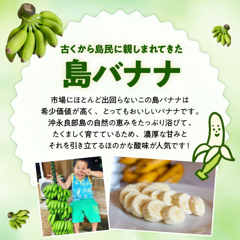 【ふるさと納税】先行受付 バナナ ドライフルーツ 30g × 2袋 農家 完全自然栽培 島バナナ 手づくり 濃厚な甘み 芳醇な香り 砂糖 着色料 保存料 不使用 無添加 ヨーグルト アイス トッピング おやつ お菓子作り アレンジ 沖永良部島産 和泊町 お取り寄せ フルーツ 送料無料 サムネイル2
