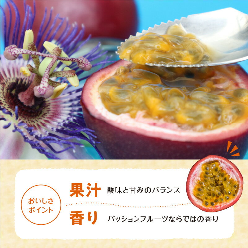 【ふるさと納税】【2026年先行予約】 パッションフルーツ 12個入 ふじ農園 果物 フルーツ パッション 期間 数量 限定 先行予約 南国 トロピカル 酸味 甘み お取り寄せ ふるさと納税 鹿児島 知名町 沖永良部島 沖永良部 おすすめ ランキング プレゼント ギフト サムネイル2