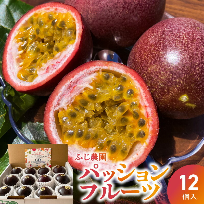 【2026年先行予約】 パッションフルーツ 12個入 ふじ農園 果物 フルーツ パッション 期間 数量 限定 先行予約 南国 トロピカル 酸味 甘み お取り寄せ ふるさと納税 鹿児島 知名町 沖永良部島 沖永良部 おすすめ ランキング プレゼント ギフト