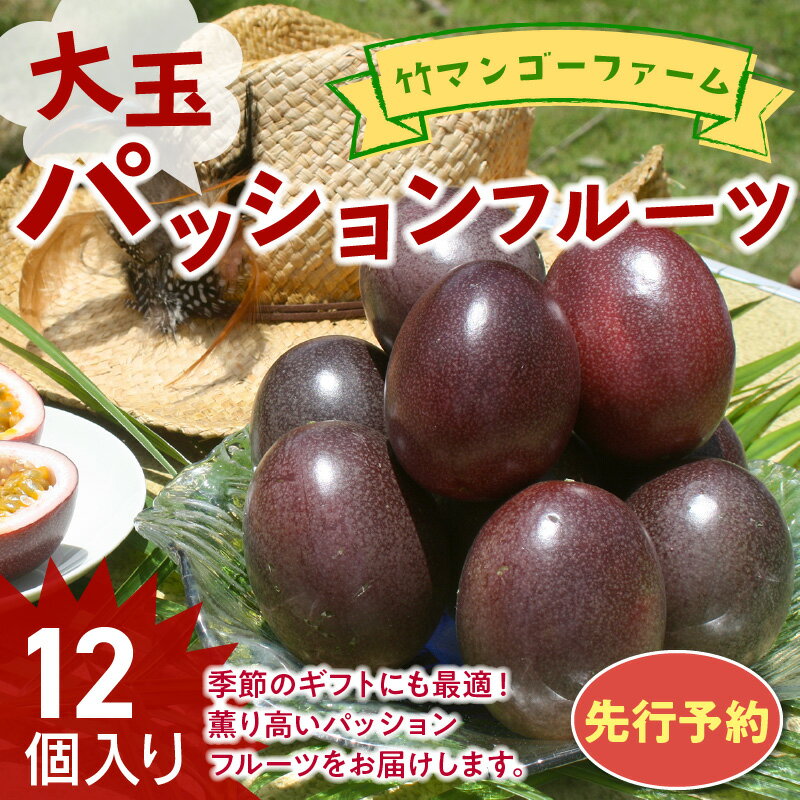 【ふるさと納税】【2026年先行予約】 大玉 パッションフルーツ 1.2kg 12個 竹マンゴーファーム パッション フルーツ 果物 予約 数量 期間 限定 南国 化粧箱 大きい 甘い 酸味 アイス ヨーグルト 鹿児島 知名町 沖永良部島 沖永良部 おすすめ ランキング プレゼント ギフト サムネイル2