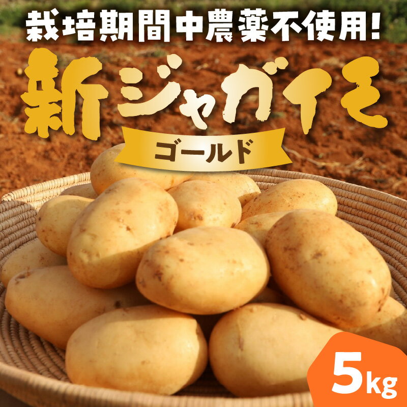 【ふるさと納税】【2026年先行予約】新ジャガイモ 5kg 4月お届け ゴールド 農薬不使用 じゃがいも 芋 新じゃが 野菜 根菜 ほっかいこがね 予約 期間 数量 限定 ホクホク 煮崩れしにくい 万能 Rin管理システム 鹿児島 知名町 おすすめ ランキング プレゼント ギフト - 画像2
