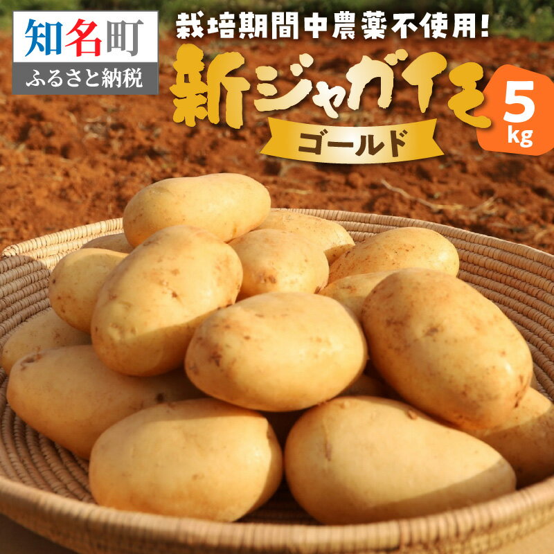 【2026年先行予約】新ジャガイモ 5kg 4月お届け ゴールド 農薬不使用 じゃがいも 芋 新じゃが 野菜 根菜 ほっかいこがね 予約 期間 数量 限定 ホクホク 煮崩れしにくい 万能 Rin管理システム 鹿児島 知名町 おすすめ ランキング プレゼント ギフト
