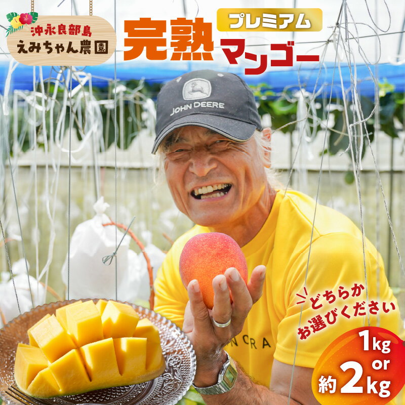 【2026年先行予約】＜選べる＞ プレミアム 完熟マンゴー 1kg or 2kg 大玉 2個 or 4個 えみちゃん農園 マンゴー フルーツ 果物 果実 先行予約 数量 期間 限定 完熟 南国 化粧箱 鹿児島 知名町 沖永良部島 沖永良部 おすすめ ランキング プレゼント ギフト