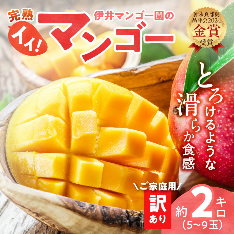 【ふるさと納税】【2026年先行予約】 訳あり 完熟マンゴー 2kg 5玉 ～ 9玉 ご家庭用 伊井マンゴー園 わけあり 規格外 マンゴー フルーツ 果物 果実 先行予約 数量 期間 限定 完熟 南国 金賞 鹿児島 知名町 沖永良部島 沖永良部 おすすめ ランキング プレゼント ギフト サムネイル2