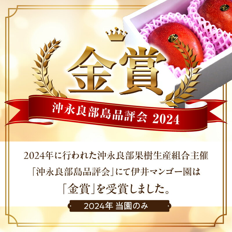 【ふるさと納税】【2026年先行予約】 訳あり 完熟マンゴー 2kg 5玉 ～ 9玉 ご家庭用 伊井マンゴー園 わけあり 規格外 マンゴー フルーツ 果物 果実 先行予約 数量 期間 限定 完熟 南国 金賞 鹿児島 知名町 沖永良部島 沖永良部 おすすめ ランキング プレゼント ギフト サムネイル3