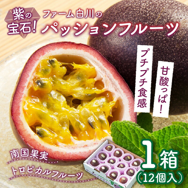 【ふるさと納税】【2026年先行予約】パッションフルーツ 12個 紫の宝石 ファーム白川 果物 フルーツ パッション 期間 数量 限定 先行予約 南国 トロピカル アイス ヨーグルト トッピング ふるさと納税 鹿児島 知名町 沖永良部 おすすめ ランキング プレゼント ギフト サムネイル2