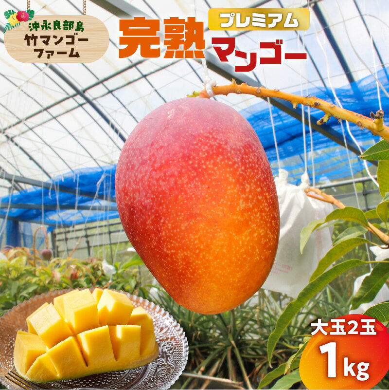【2026年先行予約】 プレミアム 完熟マンゴー 1kg 大玉 2個 竹マンゴーファーム マンゴー フルーツ 果物 果実 先行予約 数量 期間 限定 完熟 南国 化粧箱 厳選 甘い 採れたて 大きい 無加温 鹿児島 知名町 沖永良部 おすすめ ランキング プレゼント ギフト