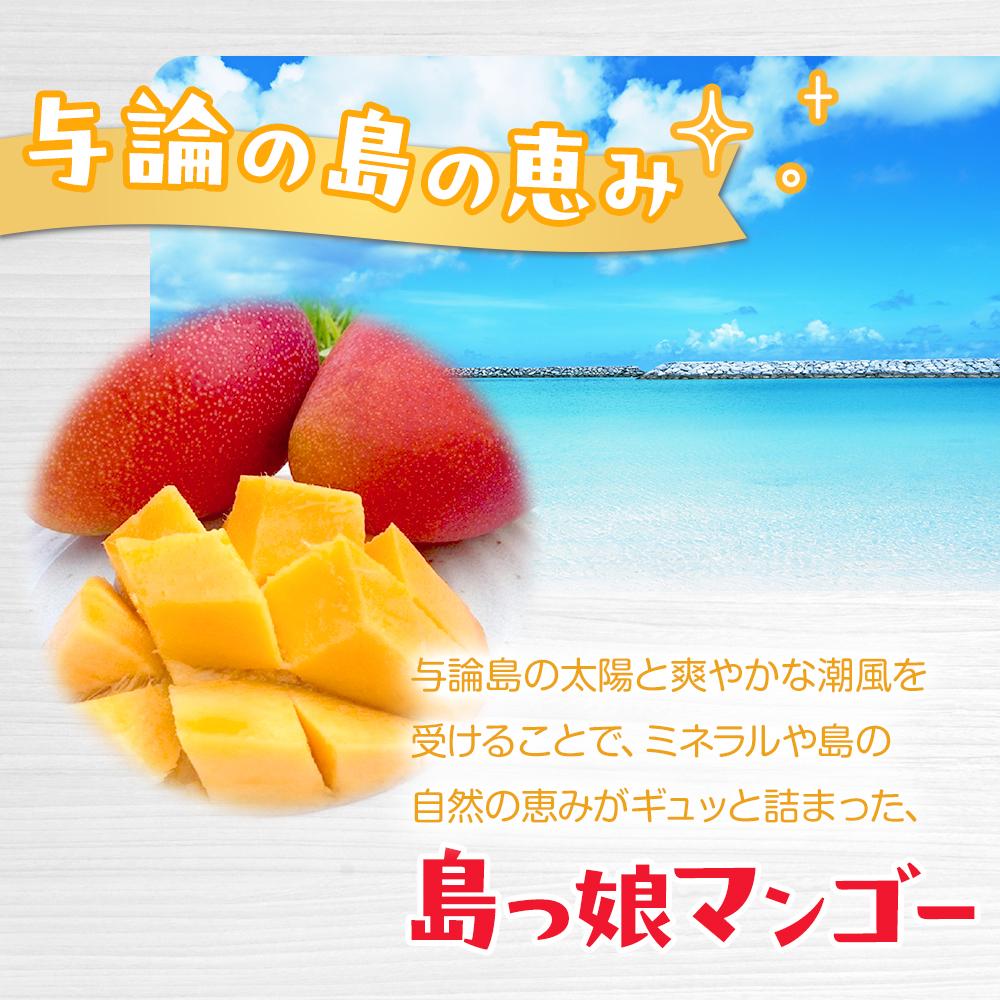 【ふるさと納税】★先行予約【2026年7月上旬以降発送】与論島産　島っ娘マンゴー（優品）4kg　10～14個　糖度13度以上 | フルーツ 果物 くだもの 食品 人気 おすすめ 送料無料 サムネイル2