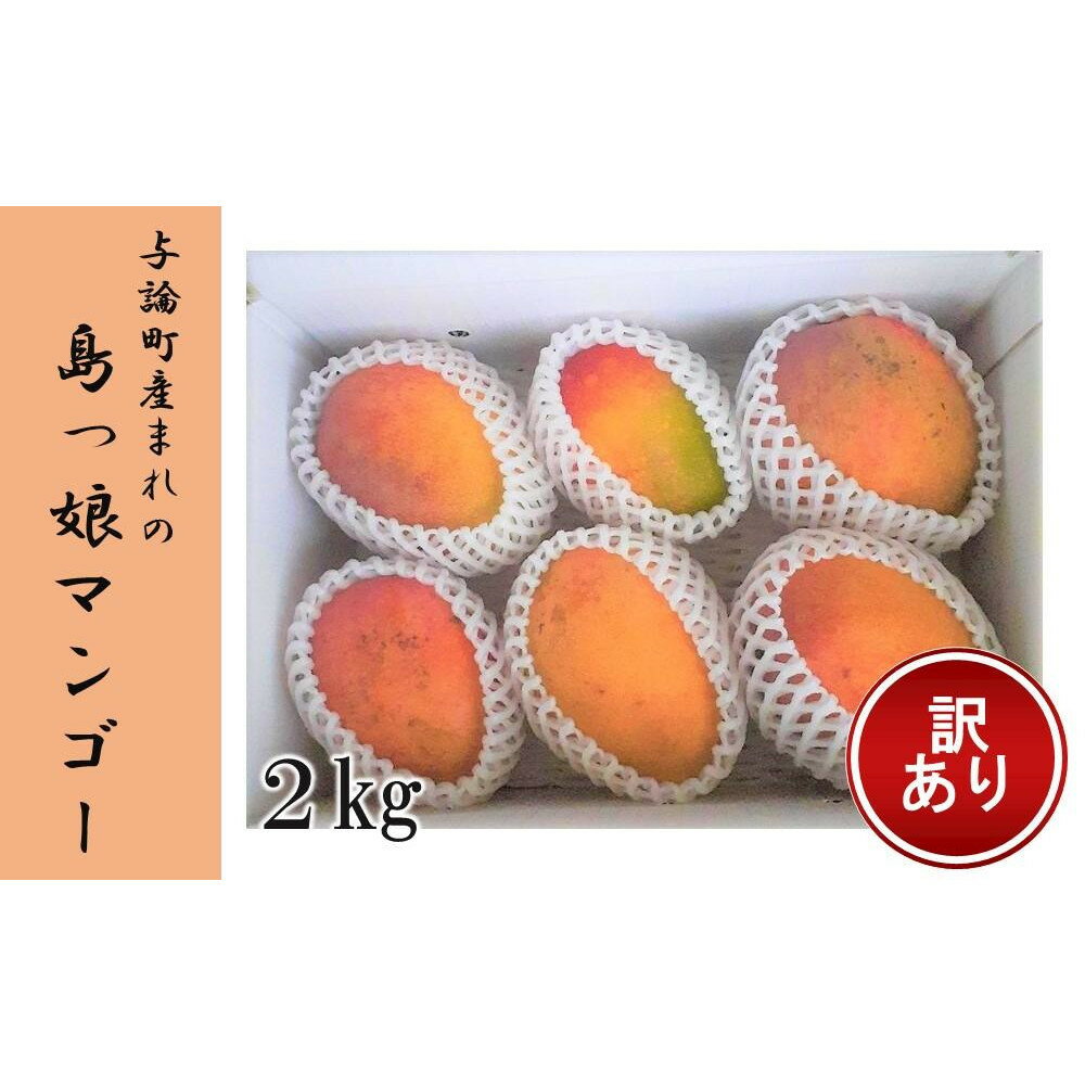 先行予約2025年●月以降発送【訳あり家庭用】ヨロン島産　島っ娘マンゴー 2キロ　5～7玉　白箱入り | 訳アリ 家庭用 マンゴー 糖度13度以上 期間限定 数量限定 人気 お取り寄せ 取り寄せ 送料無料 鹿児島県 与論 西村農園