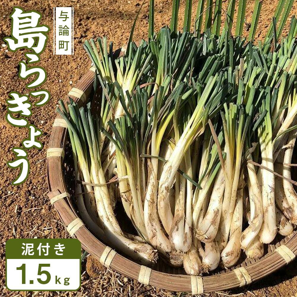 【令和8年3月頃発送】島らっきょう1.5kg(泥付き）