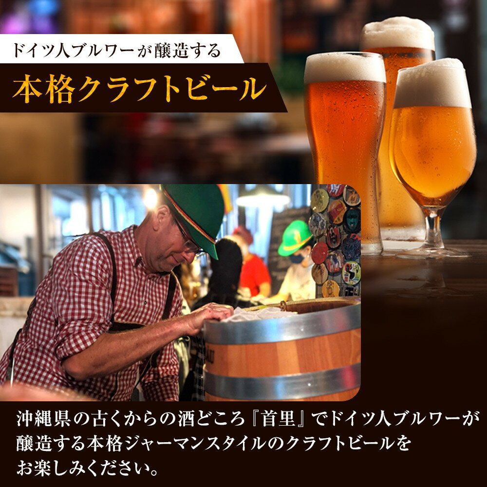 【ふるさと納税】ウォルフブロイオリジナルクラフトビール計6本（3種類x2本）｜ビール クラフトビール 地ビール 那覇市 ギフト 贈答品 ドイツ ジャーマンスタイル 本場ドイツ 瓶ビール | 沖縄 那覇 お酒 さけ ビール 地ビール クラフトビール ギフト 瓶ビール　ドイツ サムネイル2