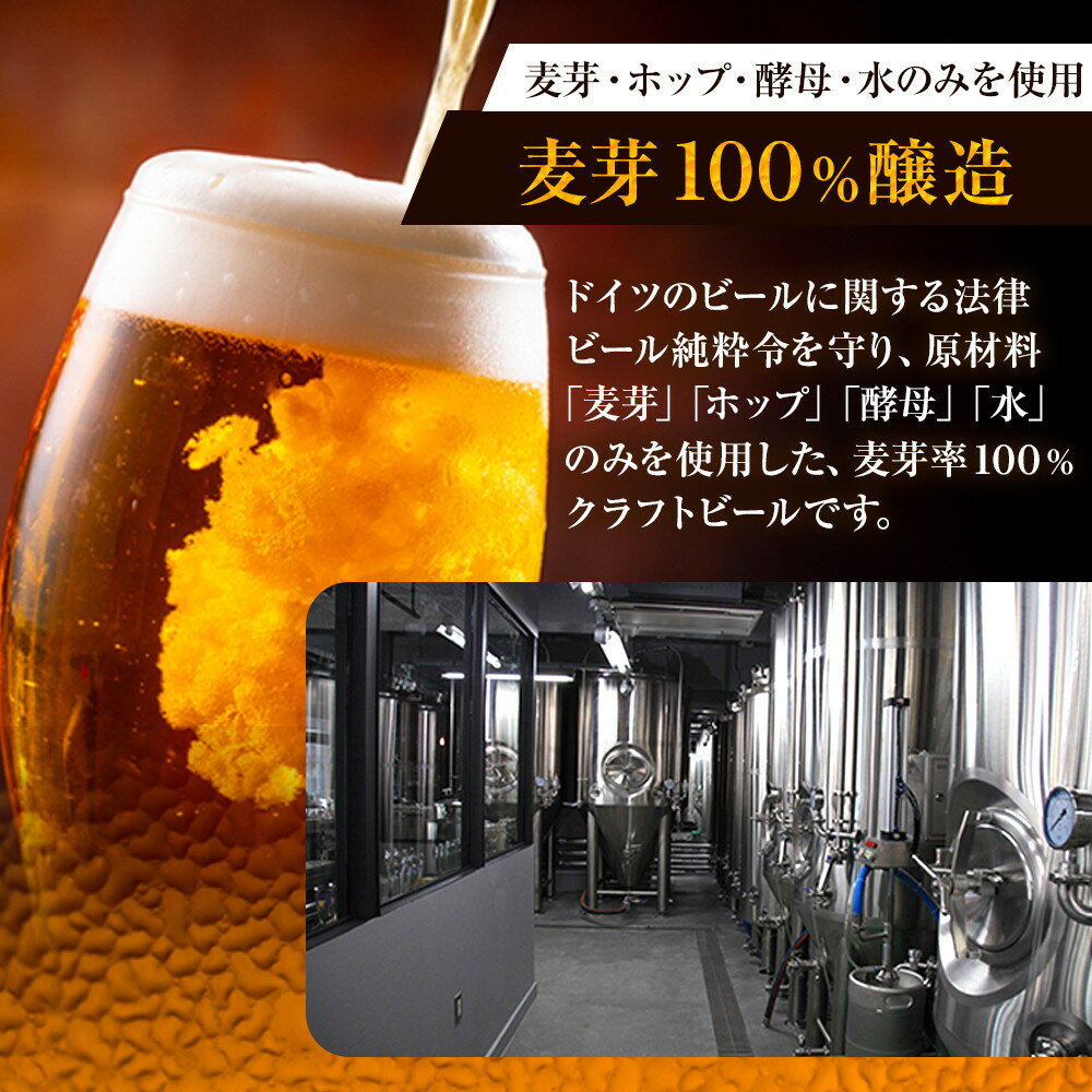 【ふるさと納税】ウォルフブロイオリジナルクラフトビール計6本（3種類x2本）｜ビール クラフトビール 地ビール 那覇市 ギフト 贈答品 ドイツ ジャーマンスタイル 本場ドイツ 瓶ビール | 沖縄 那覇 お酒 さけ ビール 地ビール クラフトビール ギフト 瓶ビール　ドイツ サムネイル3