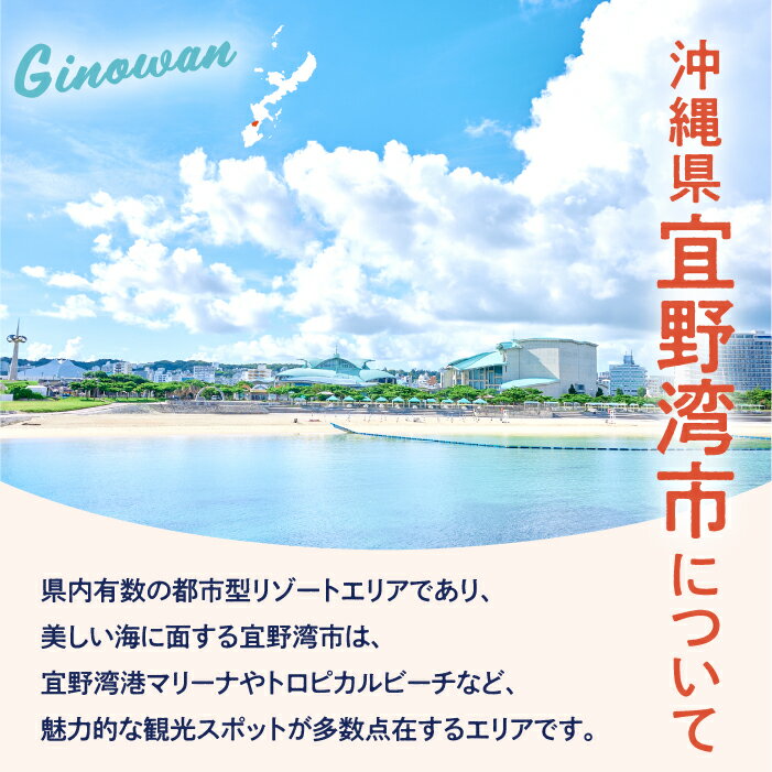 【ふるさと納税】沖縄県宜野湾市の対象施設で使える楽天トラベルクーポン 寄付額40,000円 │ 観光 宿泊 宿泊券 トラベル チケット 予約 旅行 クーポン スパ ホテル リゾート 旅館 ファミリー ペア ビジネス 出張 ダイビング 沖縄 宜野湾 普天間 トロピカルビーチ サムネイル2