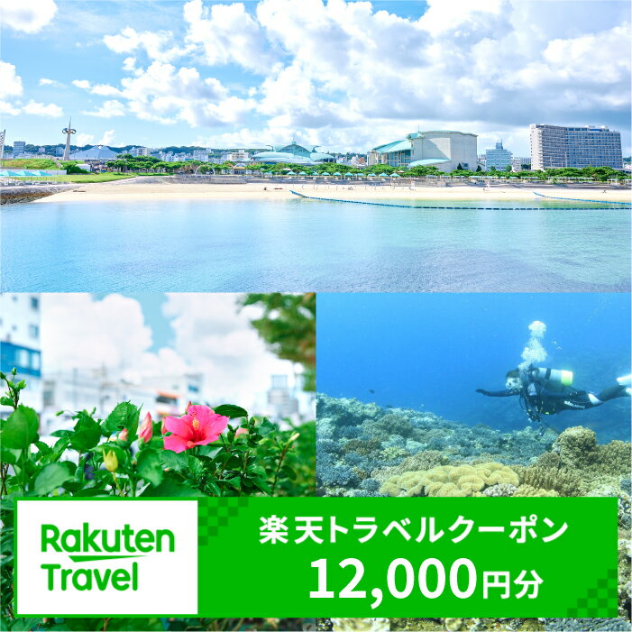 沖縄県宜野湾市の対象施設で使える楽天トラベルクーポン 寄付額40,000円 │ 観光 宿泊 宿泊券 トラベル チケット 予約 旅行 クーポン スパ ホテル リゾート 旅館 ファミリー ペア ビジネス 出張 ダイビング 沖縄 宜野湾 普天間 トロピカルビーチ